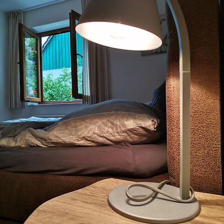 奥尔斯贝格Haus Schnurbus公寓 外观 照片