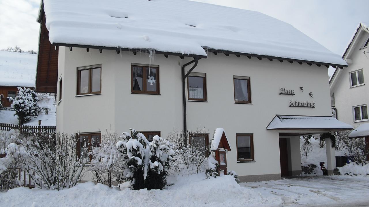 奥尔斯贝格Haus Schnurbus公寓 外观 照片