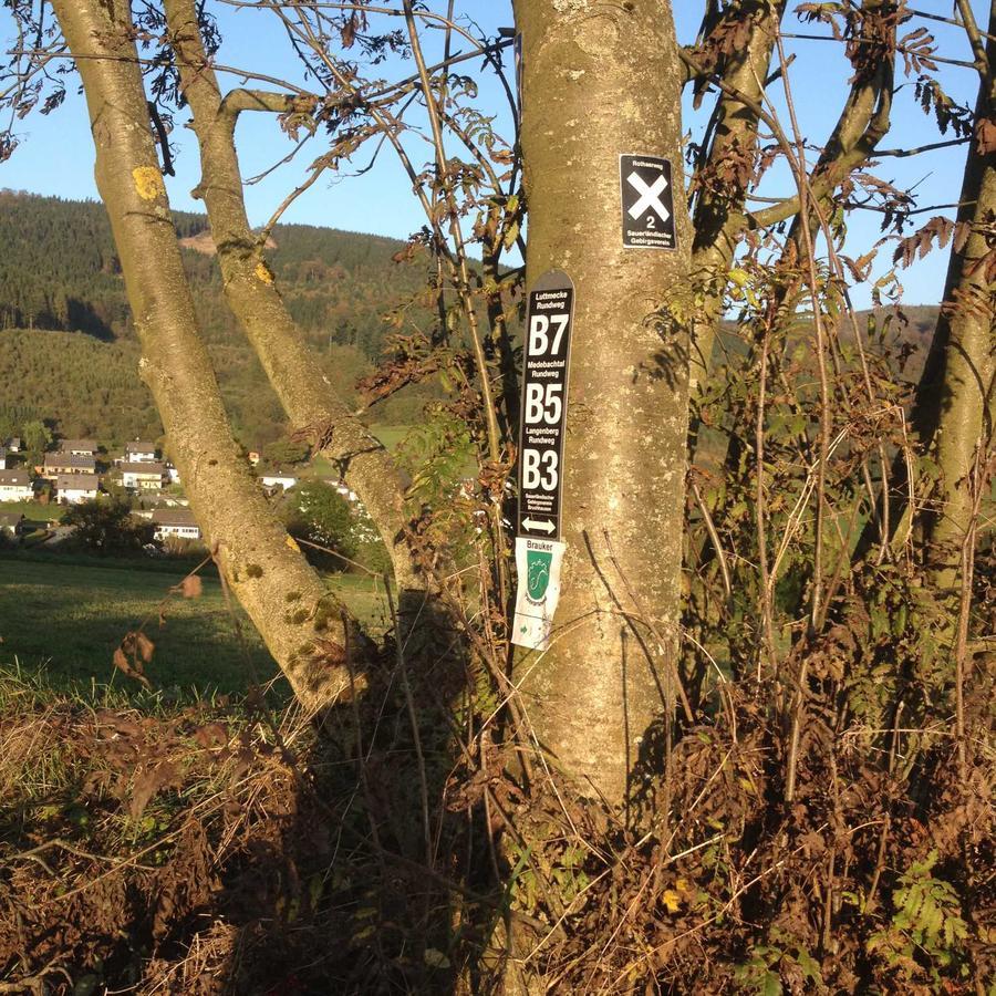 奥尔斯贝格Haus Schnurbus公寓 外观 照片